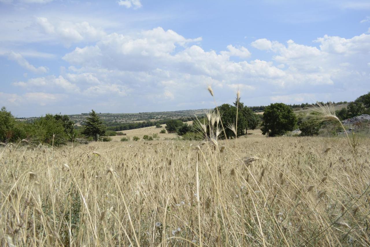 Agriturismo Poggio Ferrata 루보디풀리아 외부 사진