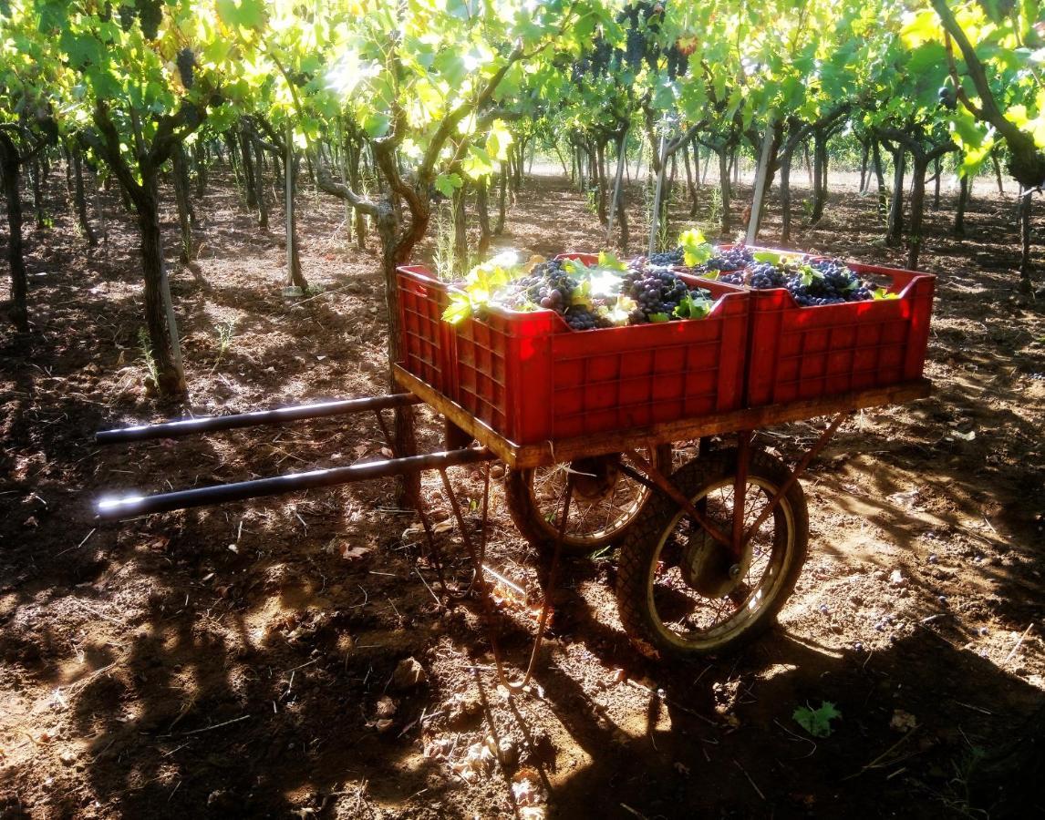 Agriturismo Poggio Ferrata 루보디풀리아 외부 사진